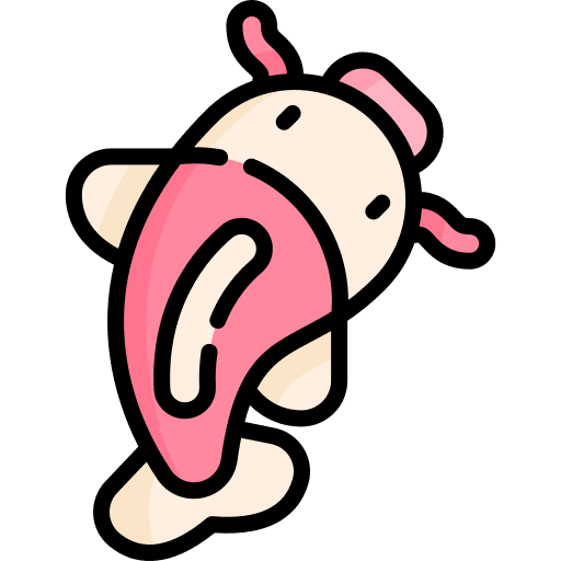 Carp fish koi fish animals cultures icon