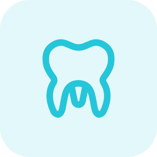 Molar teeth dental care dental icon