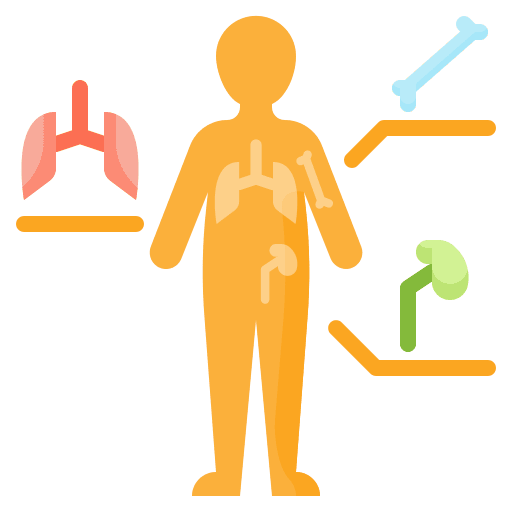 Anatomy anatomy human biology icon