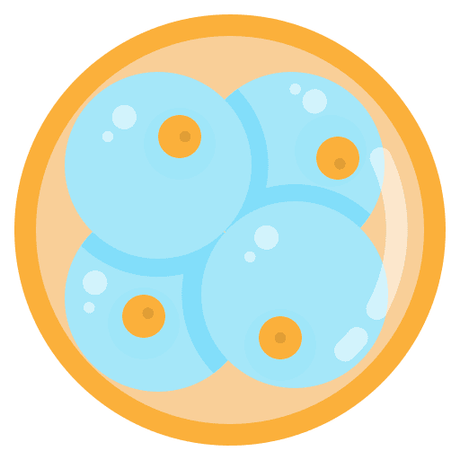 Embryo cell experiment medical icon