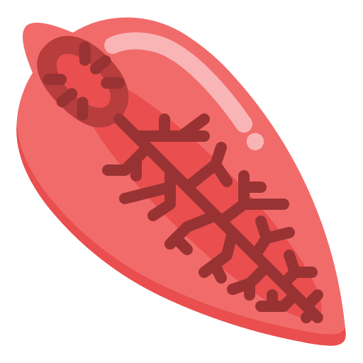 Parasite parasite experiment parasit icon
