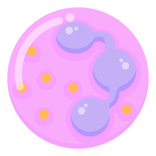 White blood cell white blood cell infection education icon