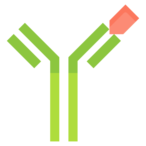 Antibody science medical antibody icon