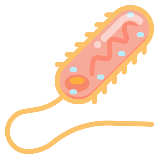 Bacteria infection virus experiment icon