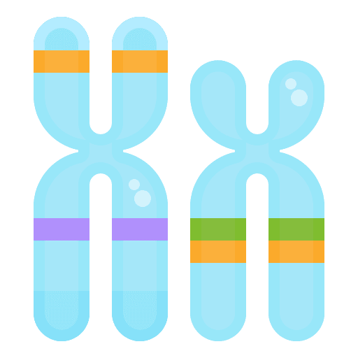 Chromosome science experiment education icon