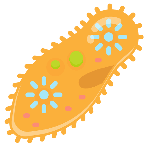 Paramecium education science medical icon