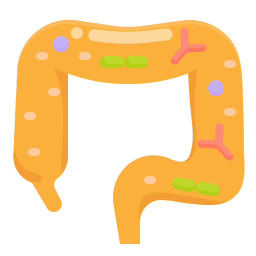 Probiotic science medical intestine icon