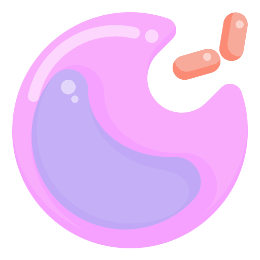 White blood cell white blood cell infection experiment icon