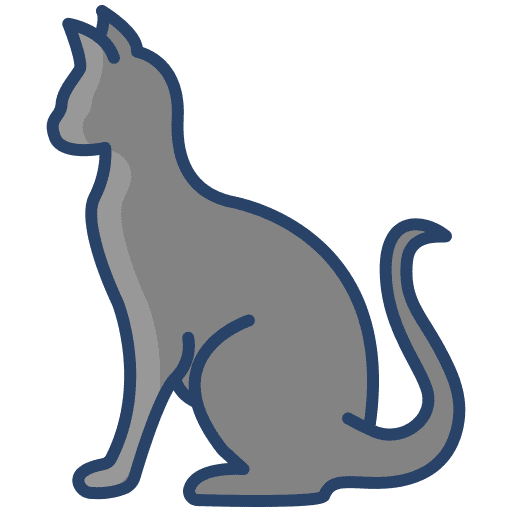 Cat cat wildlife animal kingdom icon