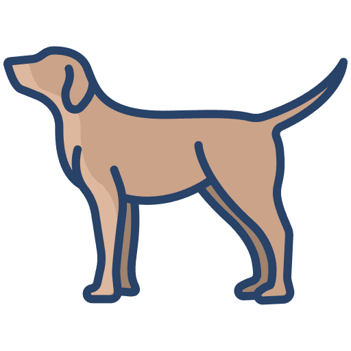 Dog pet dog animal kingdom icon