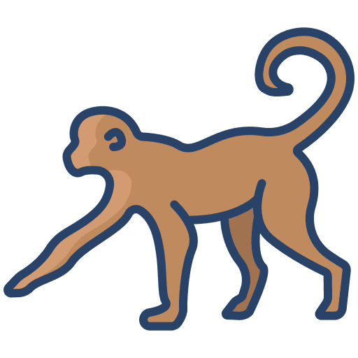 Monkey animal kingdom monkey wild life icon