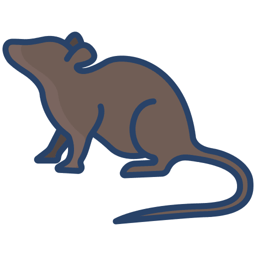 Mouse mouse wildlife animal kingdom icon