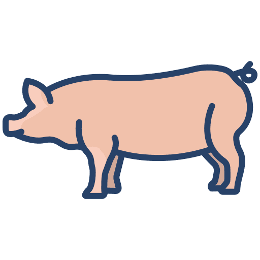 Pig animal kingdom farming livestock icon