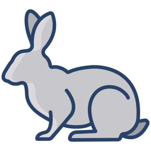 Rabbit hare pet animal kingdom icon
