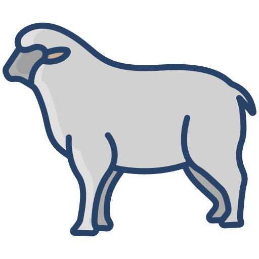 Sheep animal kingdom goat wildlife icon