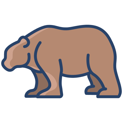 Bear wildlife animal kingdom bear icon