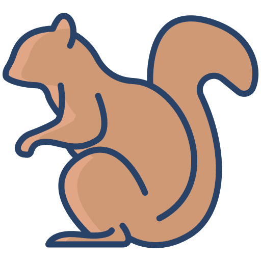 Squirrel mammal wildlife zoo icon