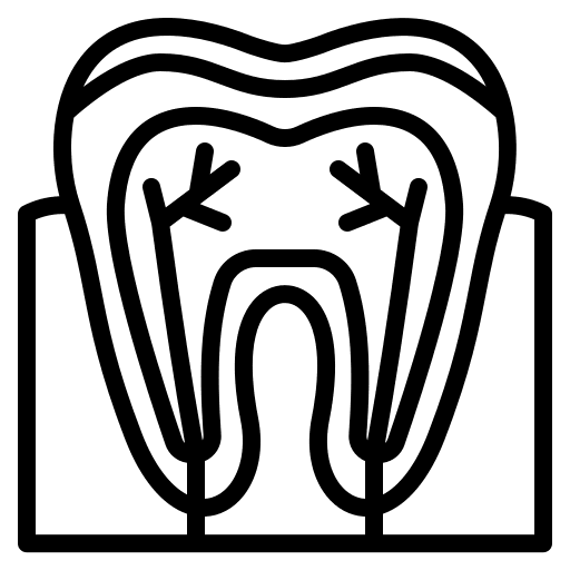 Teeth dentistry healthcare and medical premolar icon