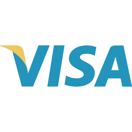 Visa debit card visa pay icon
