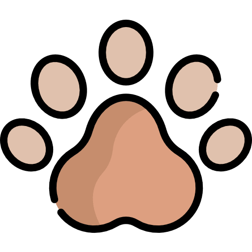 Bear bear footprints animal icon