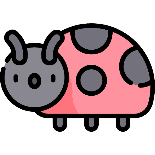 Ladybug nature insect ladybird icon