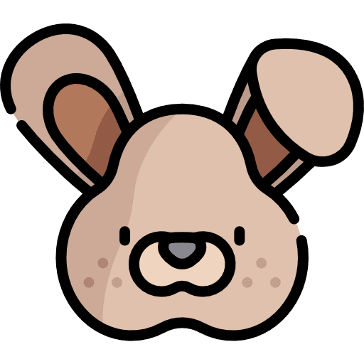Rabbit animals face bunny icon
