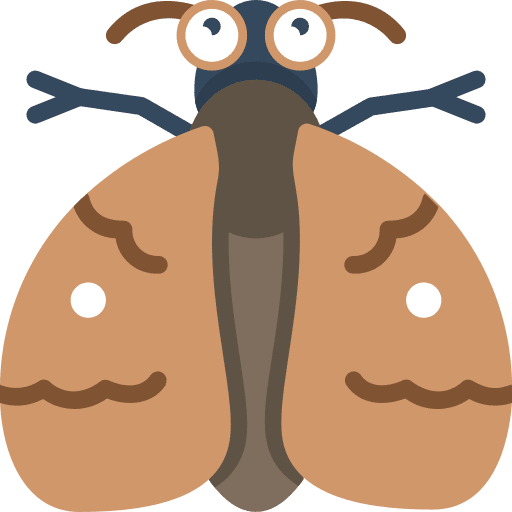 Moth animals zoology entomology icon