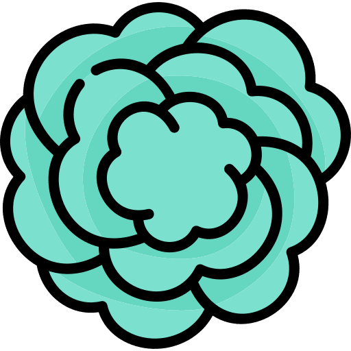 Carnation farming and gardening carnation symbol icon