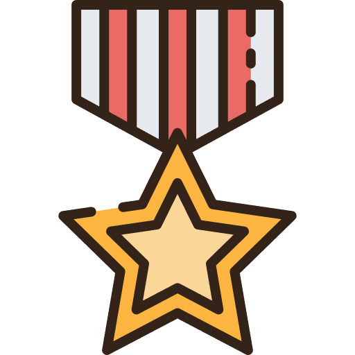 Badge reward security medal icon