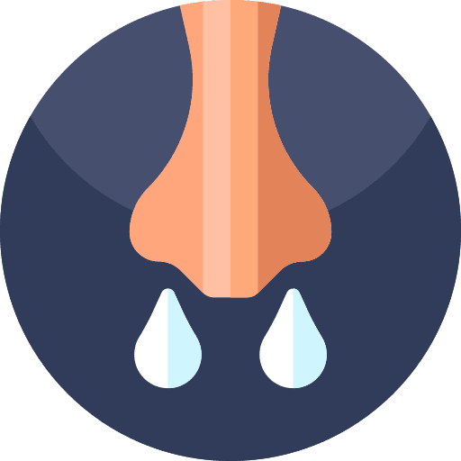 Flu rhinitis flu ill icon