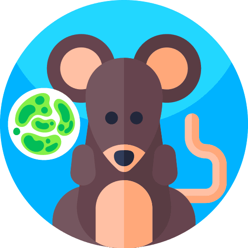 Mouse research bacteria mouse icon