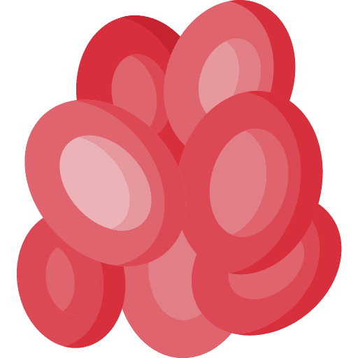 Cell erythrocytes red blood cells cell icon