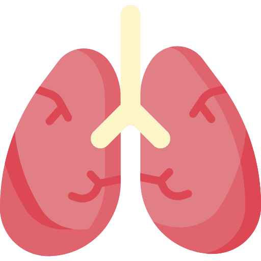 Lungs physiology anatomy organ icon