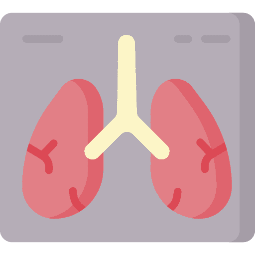 X ray healthcare and medical lung lungs icon