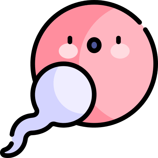 Fertilization ovule people reproduction icon