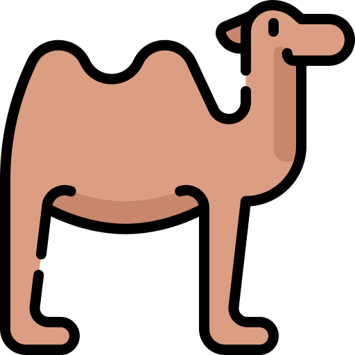 Camel wild life camel animal icon