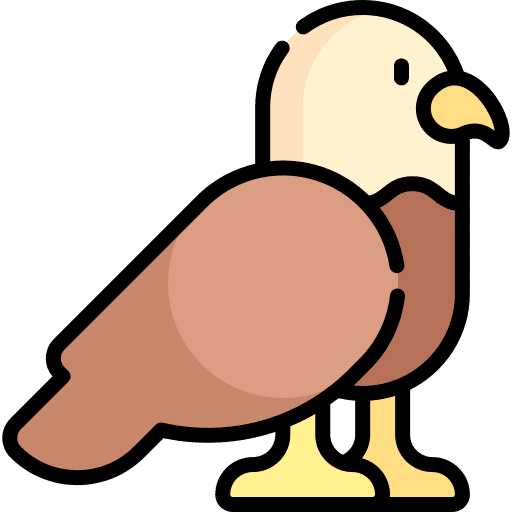Eagle wild life animals animal kingdom icon