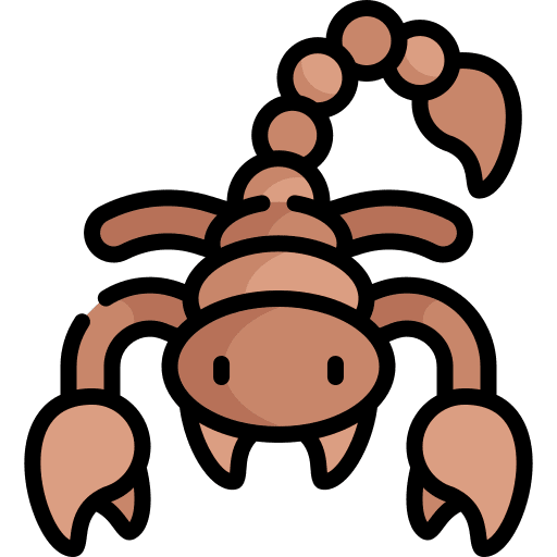 Scorpion animals venomous arachnid icon