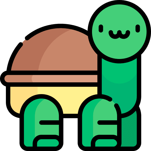 Turtle zoo animals aquatic icon