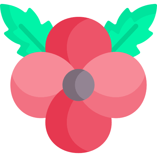 Remembrance day poppy flower icon