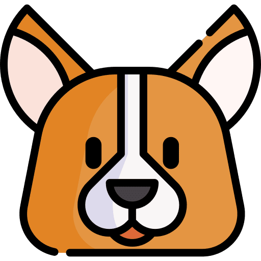 Corgi animals zoology dog icon