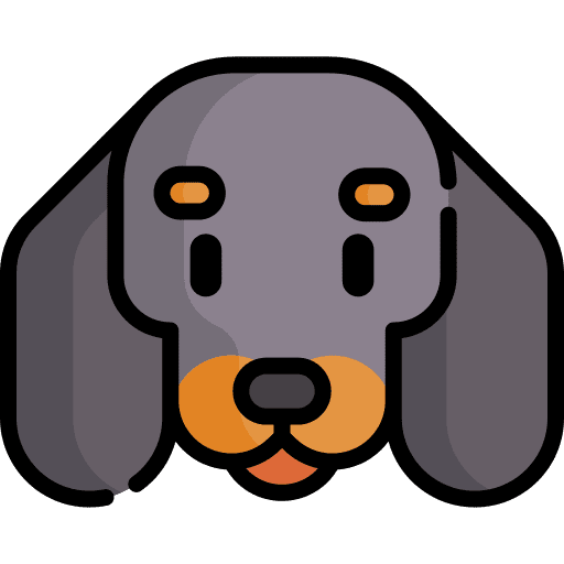 Dachshund animals animal kingdom zoology icon