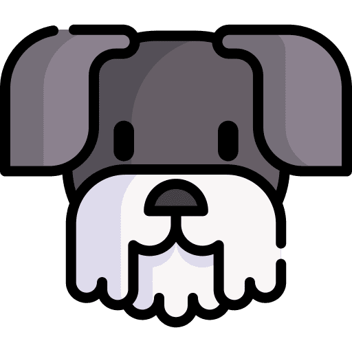 Miniature schnauzer pet animal kingdom animals icon