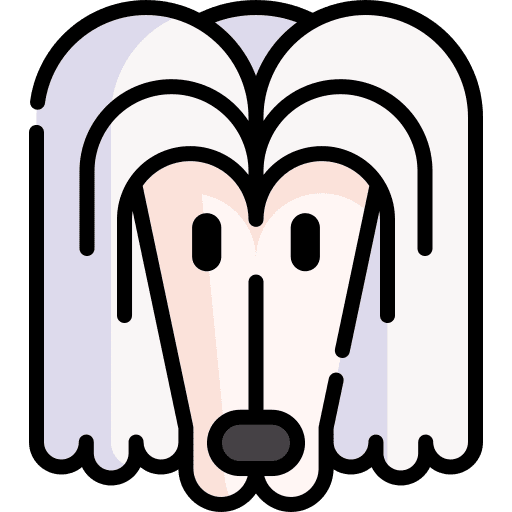 Afghan hound animals dog pet icon