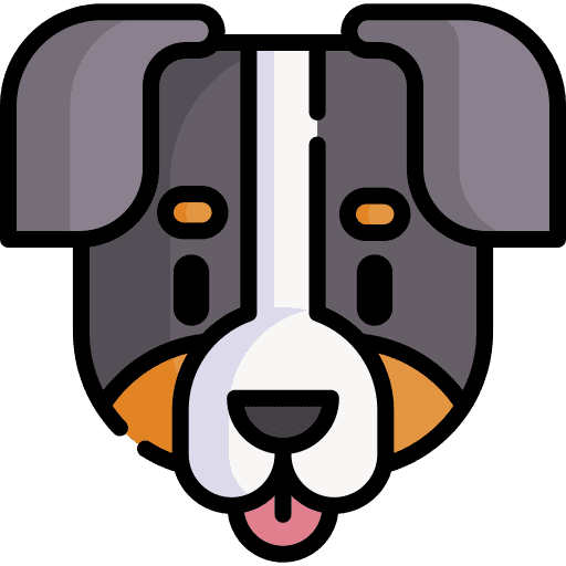 Bernese mountain zoology pet bernese mountain icon