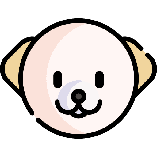 Bichon frise animals animal kingdom breed icon