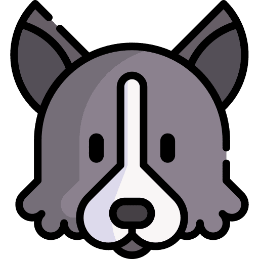 Border collie dog animal kingdom zoology icon