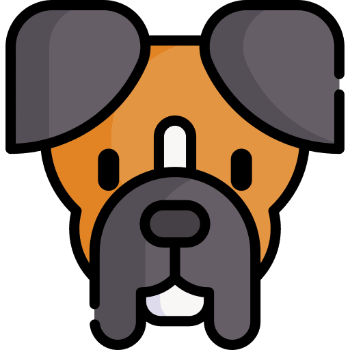 Boxer boxer pet dog icon