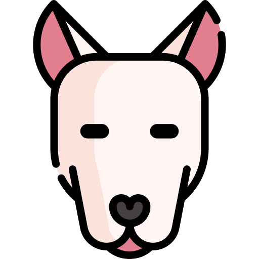 Bull terrier animal kingdom bull terrier breed icon