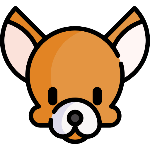 Chihuahua animal kingdom zoology pet icon